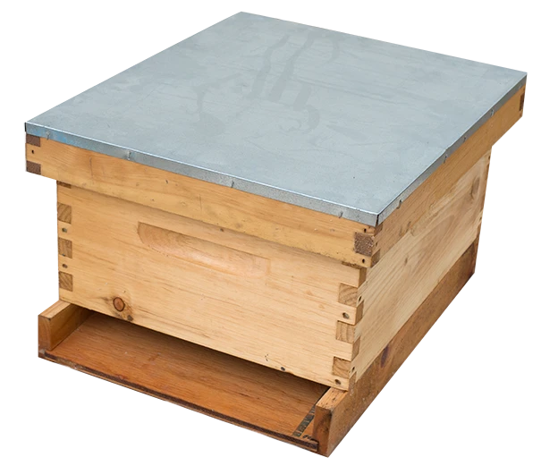 Single-Hive-Complete.png