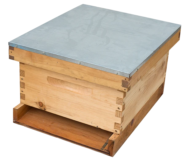 Single-Hive-Complete.png